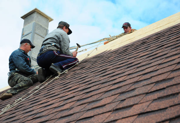 Best Roof Gutter Cleaning  in Boiling Spring Lakes, NC